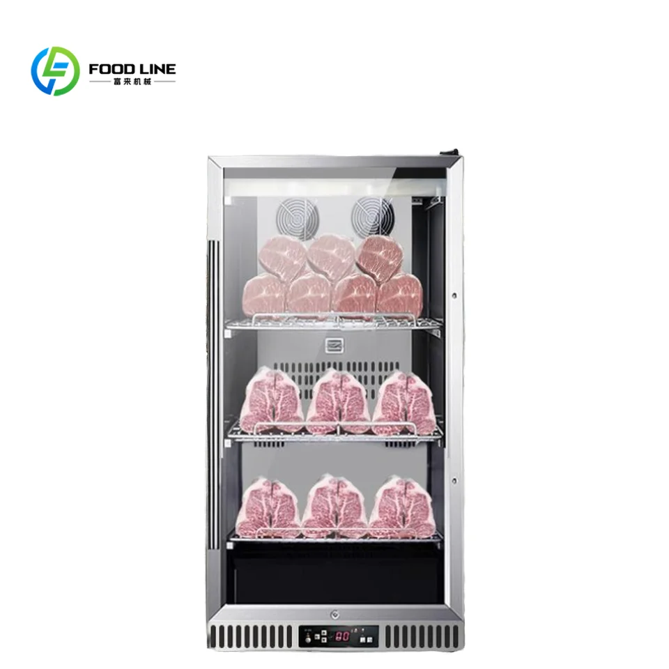 

New Condition Beef Aging Cabinet Dried Meat Curing Refrigerator with Motor Pump Engine for Retail Hotel Steak Maturing Fridge