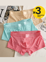 2/3/4pcs Seamless Ice Silk Boxers Men‘s Solid Color Male Underpants Ultra-thin Sexy Underwear Summer Cool Trunk Shorts