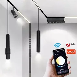 Magnetic LED Track Light System 48V Flagship Livingroom Ceiling no Main Lighting Recessed Rail Spotlights Tuya Smart Zigbee 3.0