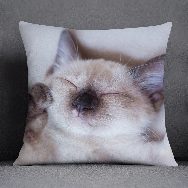 Funda de almohada decorativa con patrón de serie Cat, decoración cuadrada para el hogar y la Oficina (45 cm * 45 cm)