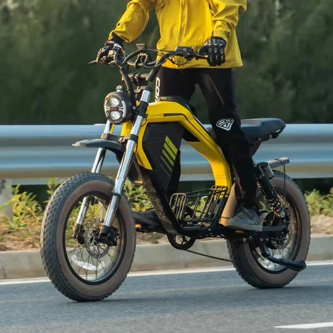 

Электровелосипед Direct Fat Tire с крутящим моментом 120 Нм, двойной амортизацией, легкий (102 фунта), городской электромотоцикл
