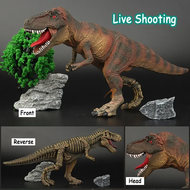 Dinosaur Model Half body Skeleton Giant Dinosaur Prehistoric Figure Simulation Toy Dinosaur World