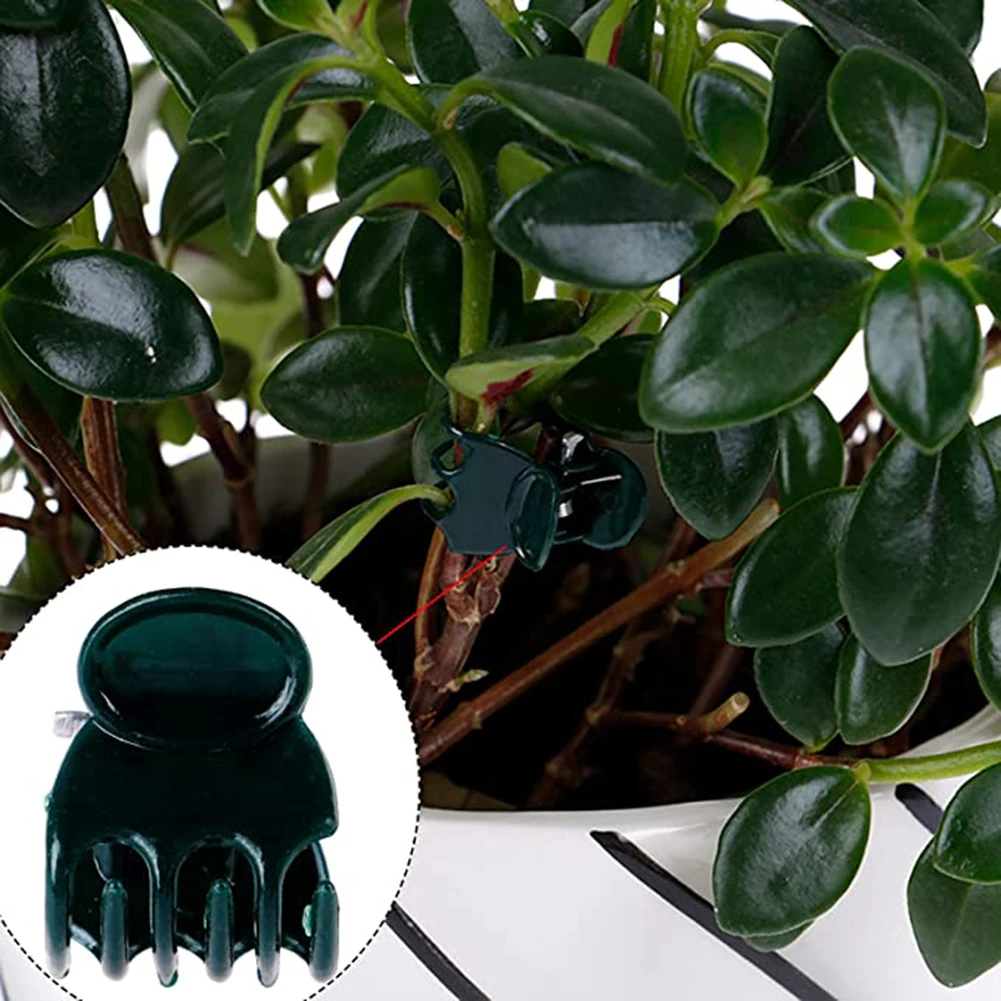 20pcs Garden Orchid Clips for Flower Spike Positioning Plastic Vine Fixing Tools for Tomato Plants Bean Vines and Other Climbers