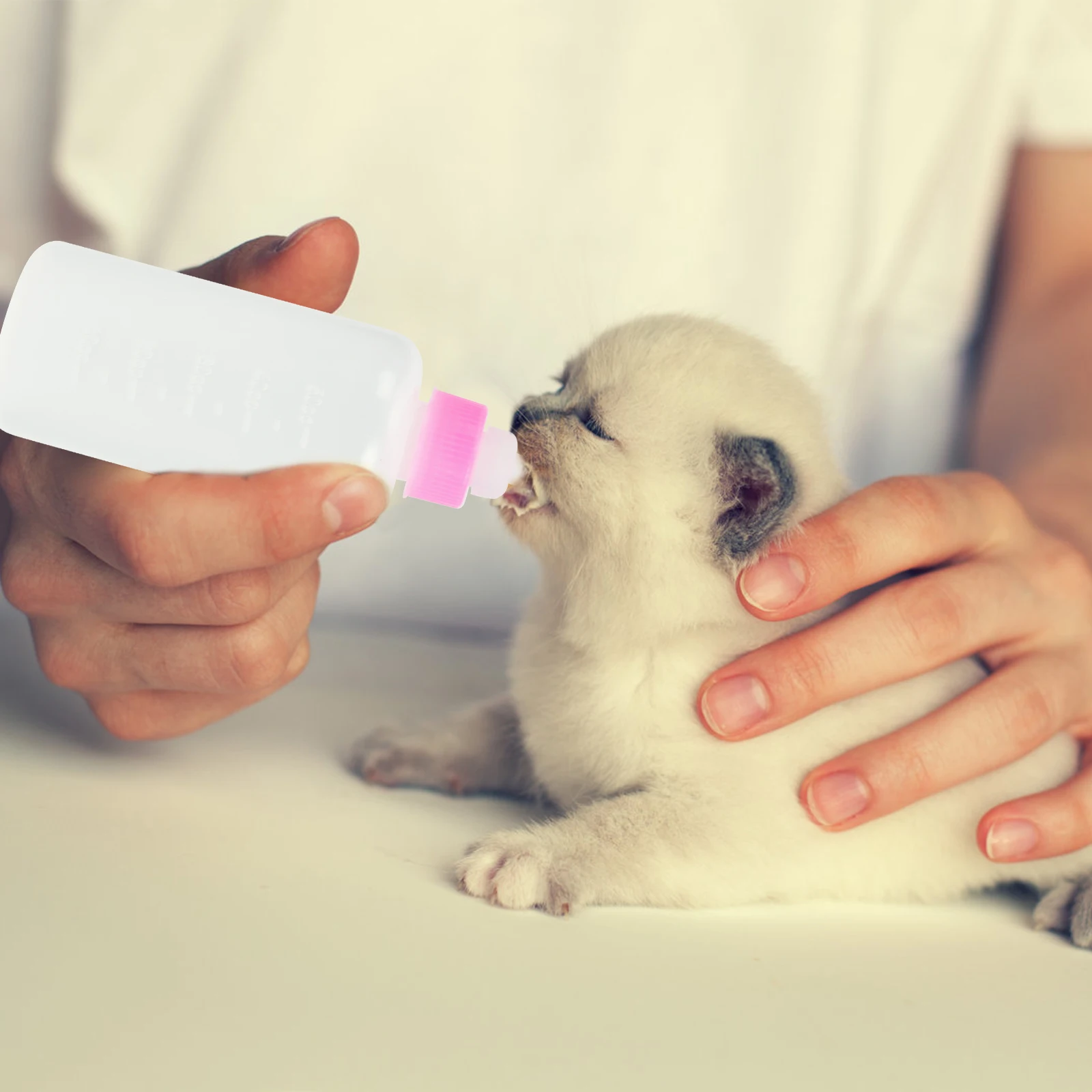 

3 Pcs Cat Milk Newborn Kittens Puppy Feeding Supplies Portable Pet Water Feeders Dog Milk Bottles Small Animals Silicone Nipples