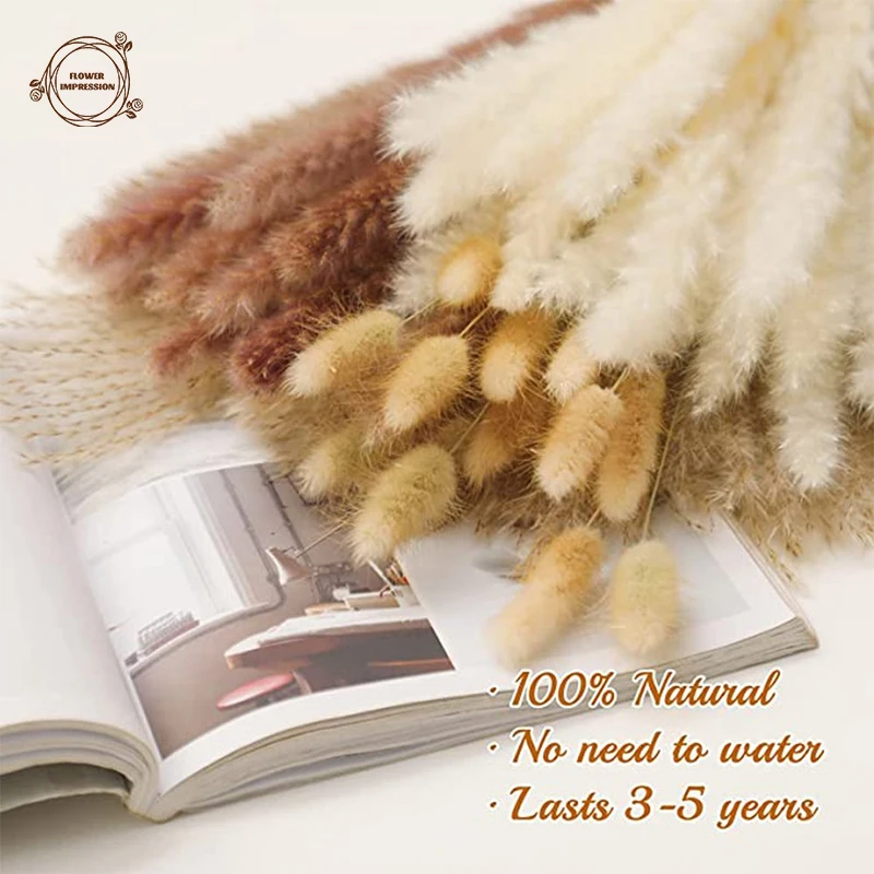 

Fluffy Pampas Dried Flower Bouquets Boho Home Decoration Bunny Tail Grass Artifical Flower Table Decor Natural Preserved Plants