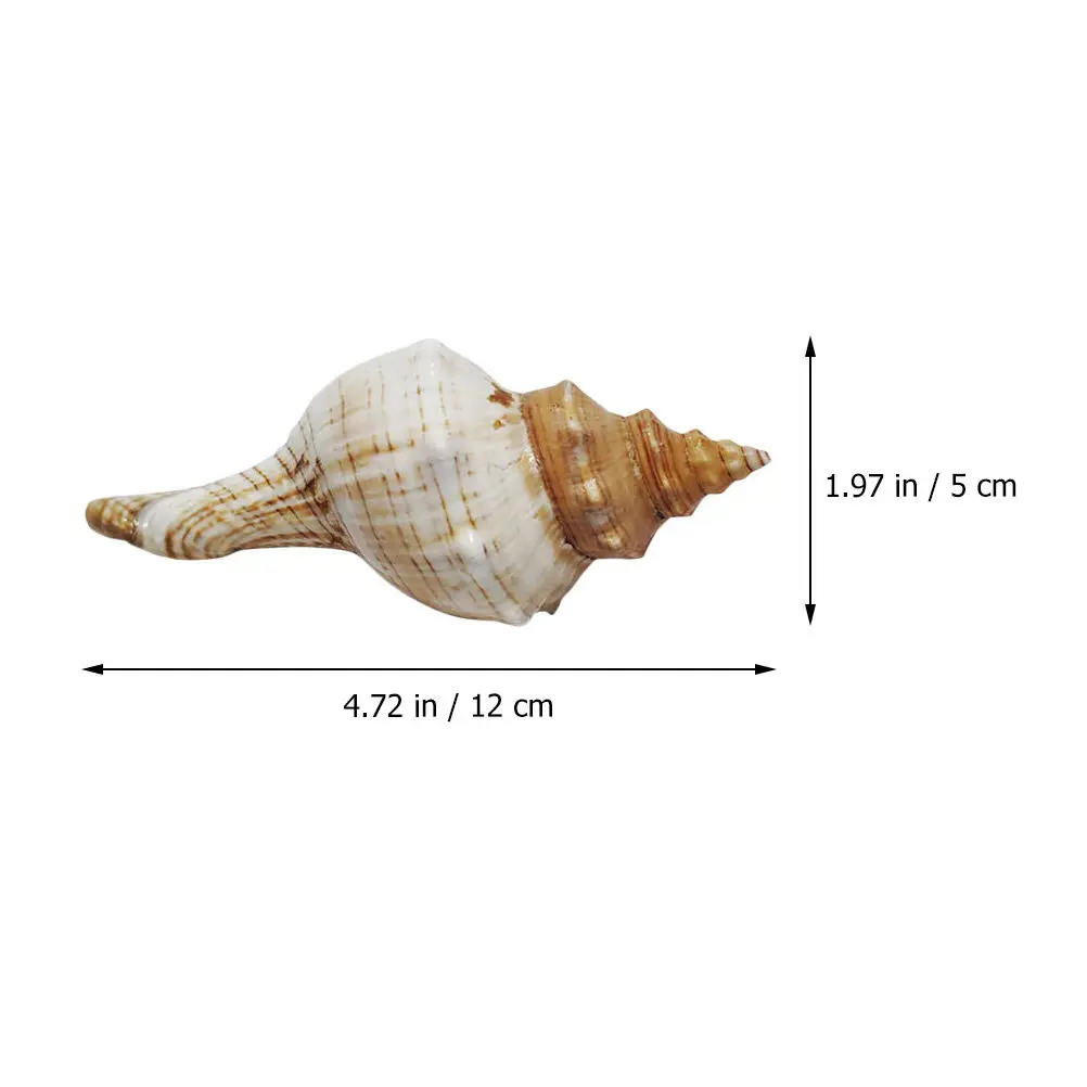 Decorative Conch Shell for Aquarium Fish Tank Home Decor Desktop Craft Beach Theme Vase Wreath Natural Seashell Landscape view 3