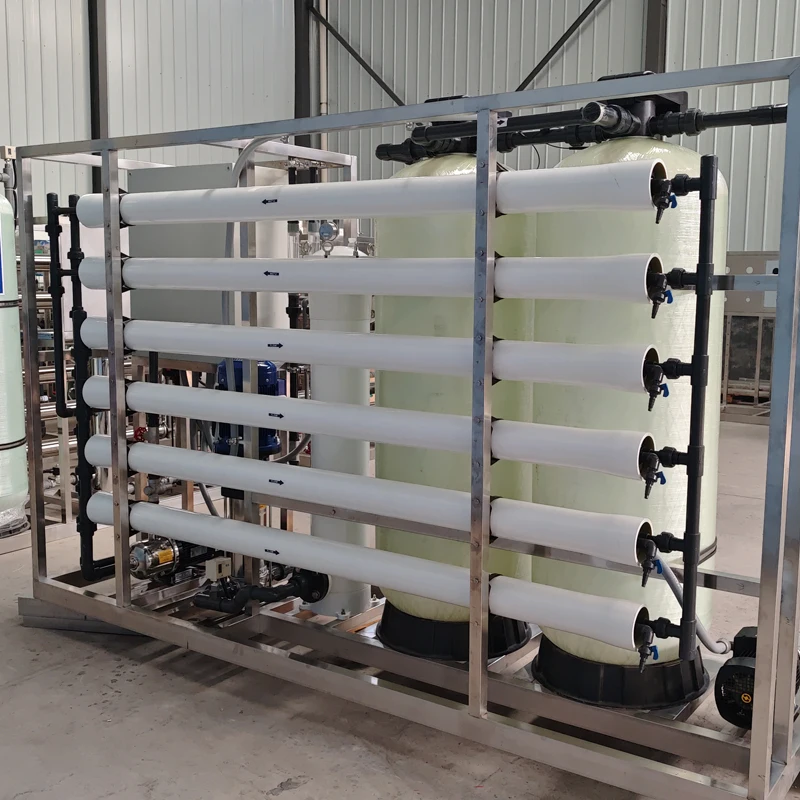 Custom Food Beverage Dedicated RO Reverse Osmosis System PLC Control Pump Hour Deep Well Water Purification Treatment Machinery