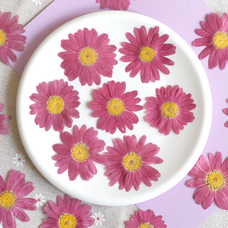 12 قطعة ، الطبيعية ضغط مارغريت زهرة جافة DIY بها بنفسك الوجه البتلة ماكياج النبات إطار صور الايبوكسي المحمول حافظة مجوهرات مسمار الفن حلية