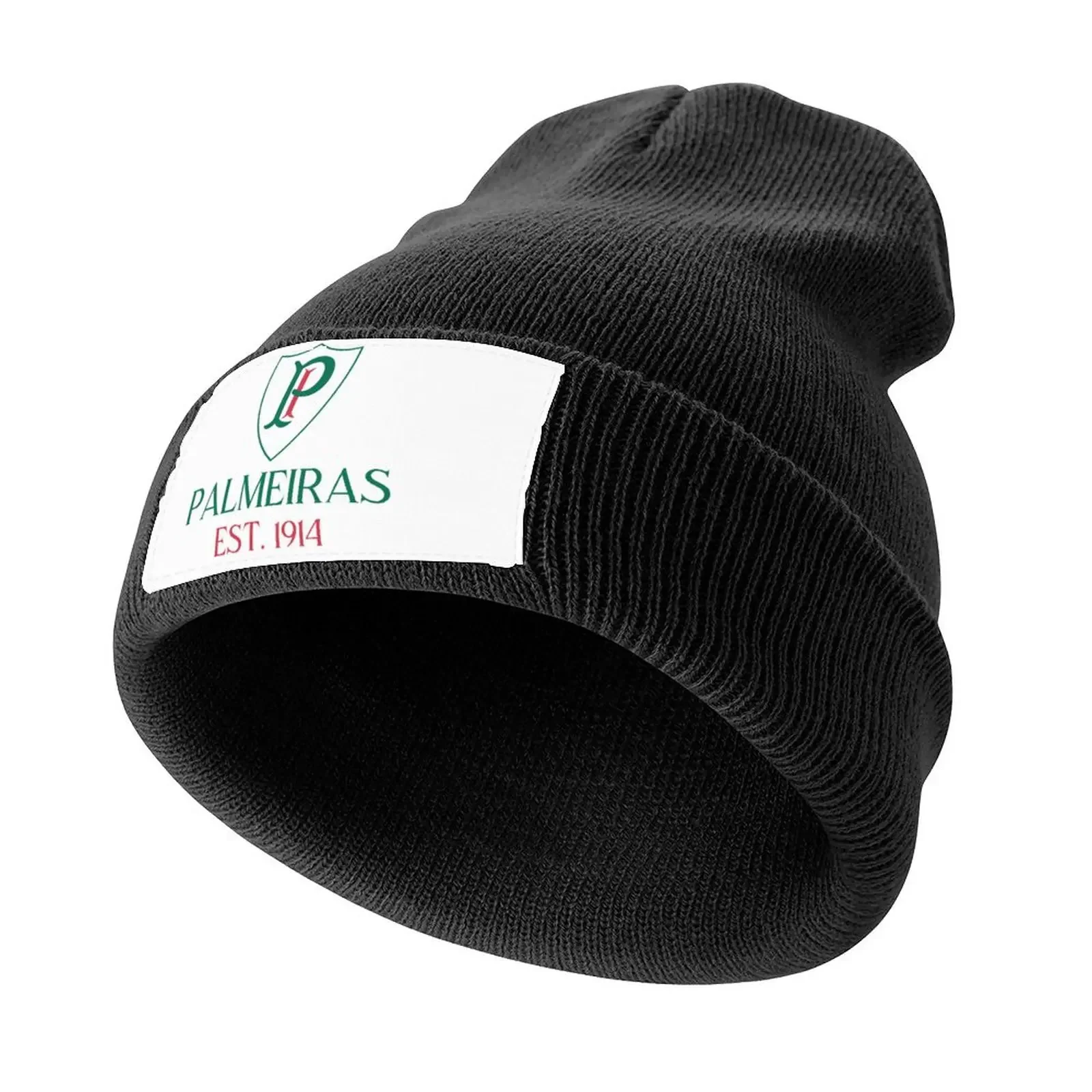 Palmeiras Vintage Knitted Cap Military Cap Man Visor foam party Hat Hat Baseball Cap Women Men's