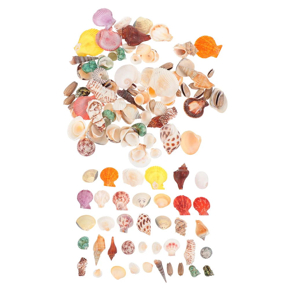 

160Pcs Sea Conch Decor Natural Shell Crafts for Aquarium Fish Tank Landscaping Micro Vase Filling Creative DIY Accessories