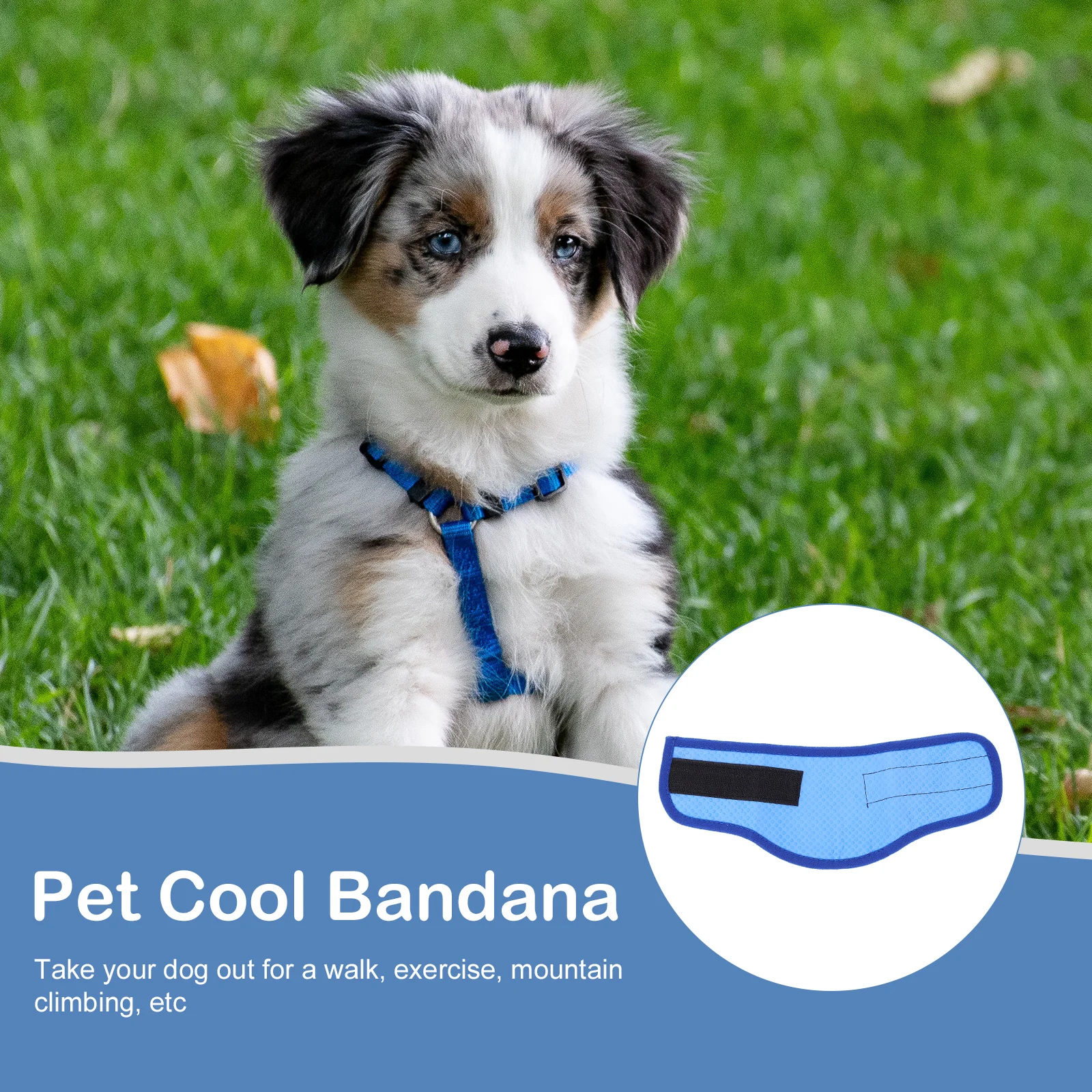 

Cool Dog Collar Pet Cooling Scarf PVA Towel Neck Wrap Bandana for Hot Days Long Lasting Heat Resistant Chemical Free Dog