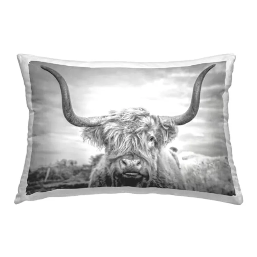 

Highland Cattle View Indoor Printed Throw Pillow 14 x 20 Grey