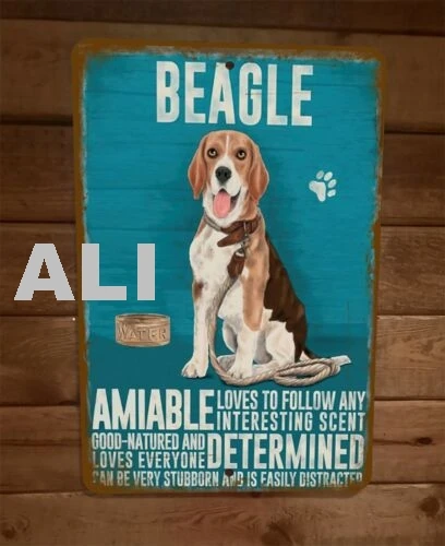 Beagle Amiable Determined Stubborn Easily Distracted 8x12 Metal Wall Sign sign