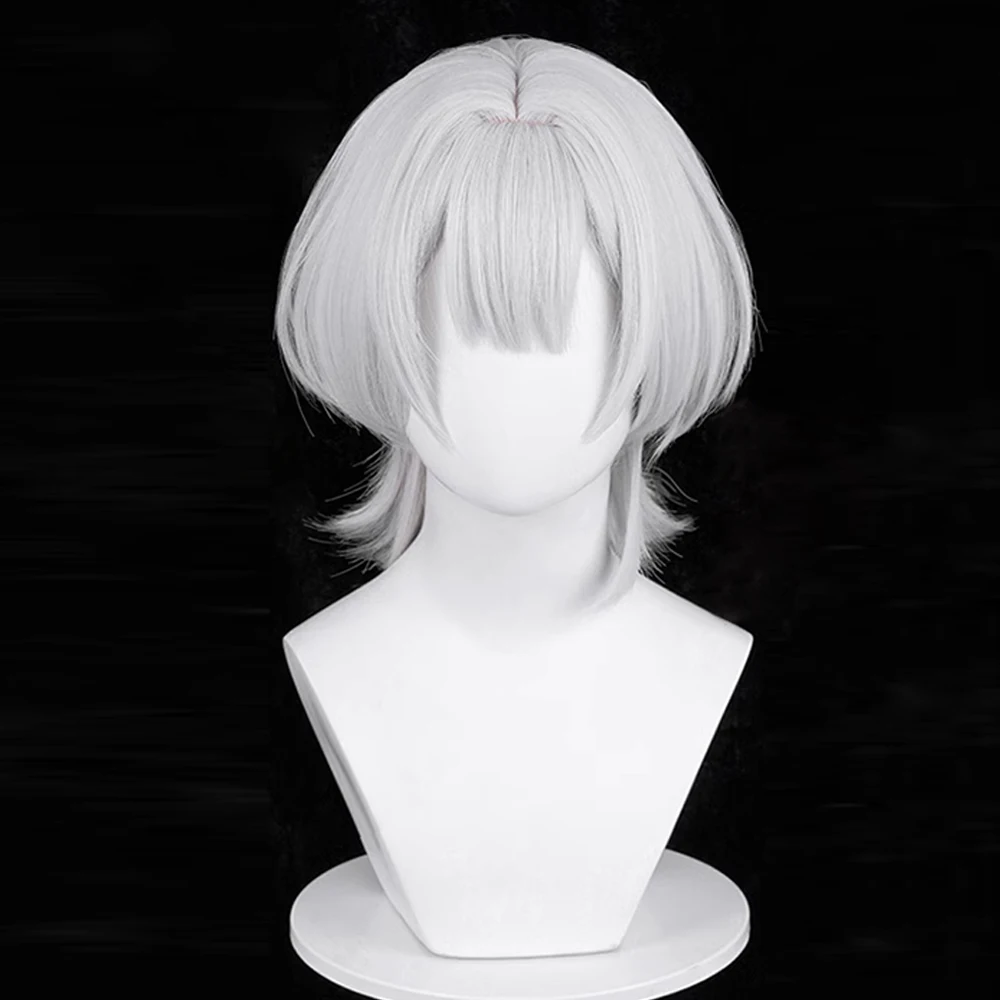 Synthetic Silver White Cosplay Wigs for Men Daily Anime Game Party Short Straight Fluffy Heat Resistant Wig