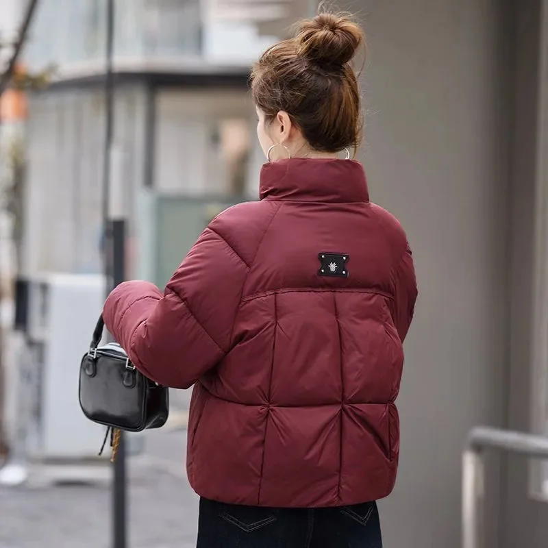 

2025 Ladies Long Sleeves Parkas Jacket Winter Female Short Cotton Padded Tops Coat Korean Women Stand Collar Down Cotton Outwear