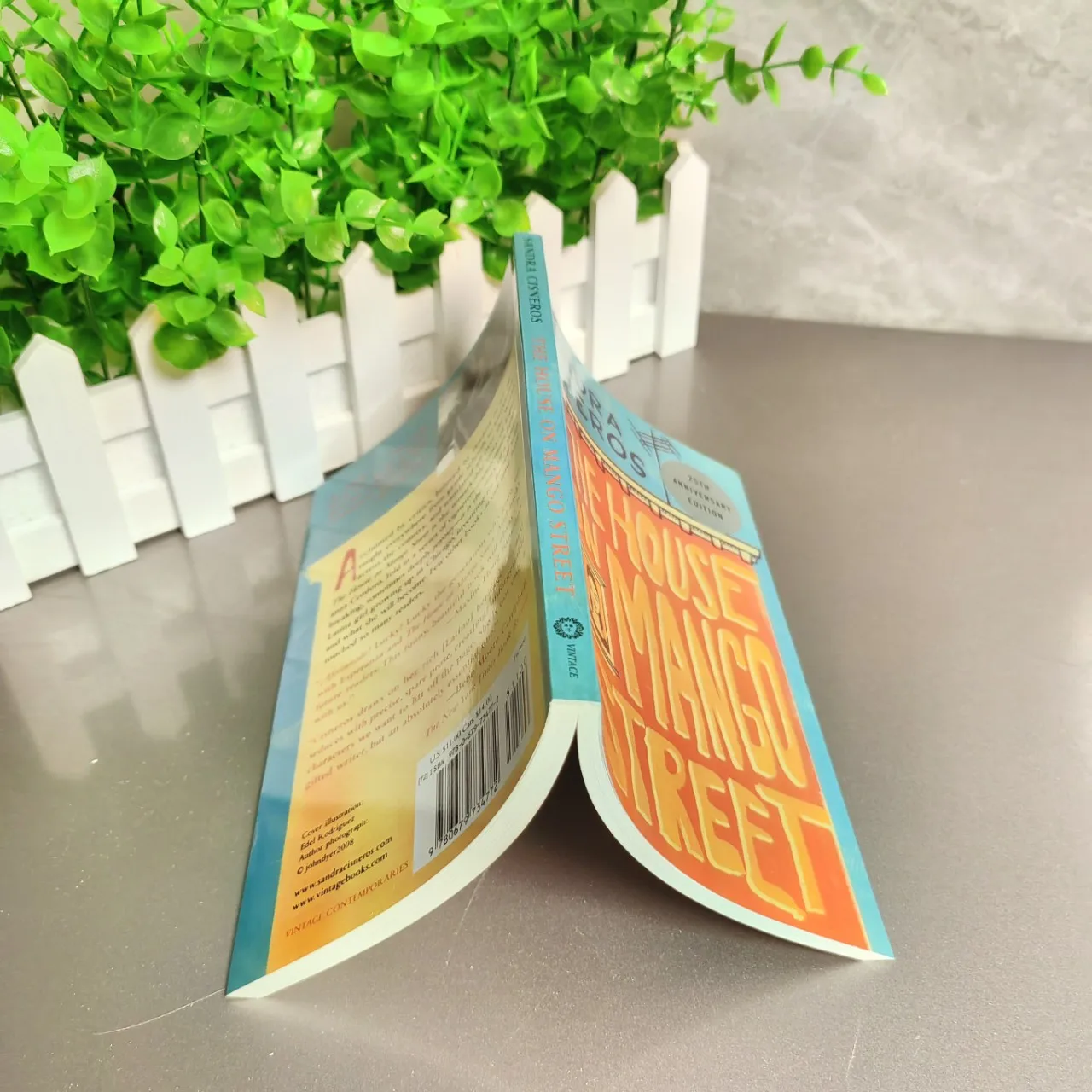 Book The House on mango street. Editorial VINTAGE 2007 year author Sandra Cisneros
