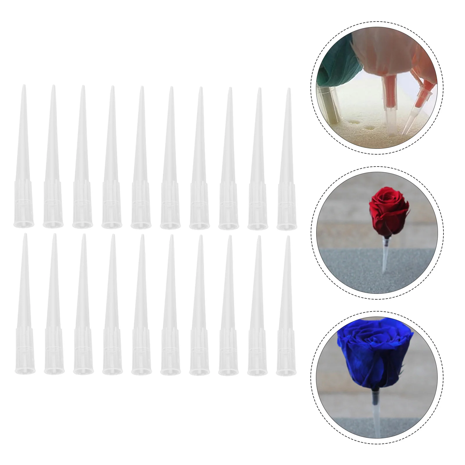 

100 Pcs Preserved Flower Clay Inserts Arranging Fixture Supplies Fixation Plastic Tube Bracket Tool Kit DIY Mud