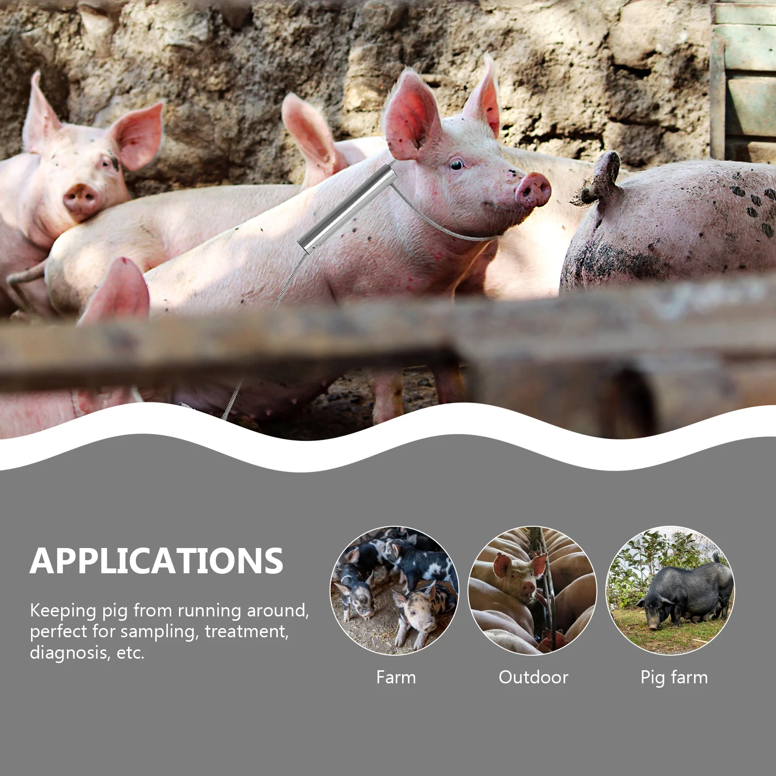 

2 pcs Pig Restraint Holder Durable Steel Farm Equipment Catcher Tool Pole Piggy Handling Accessories