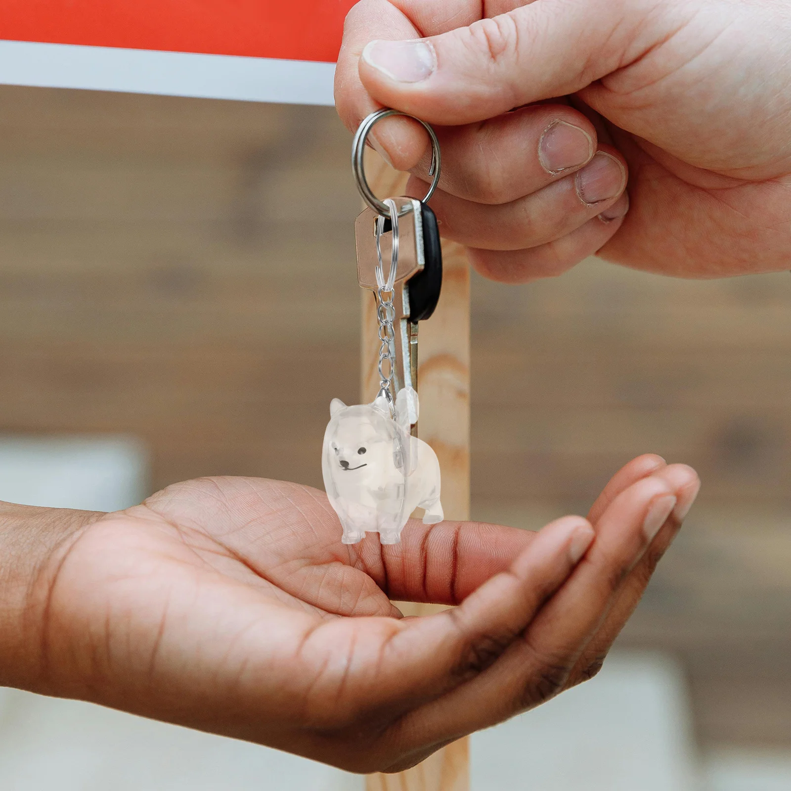 

2Pcs Pet Hair Keepsake Keychain Versatile Use Pet Memorial Present Dog Cat Hair Storage Box Cherished Memories