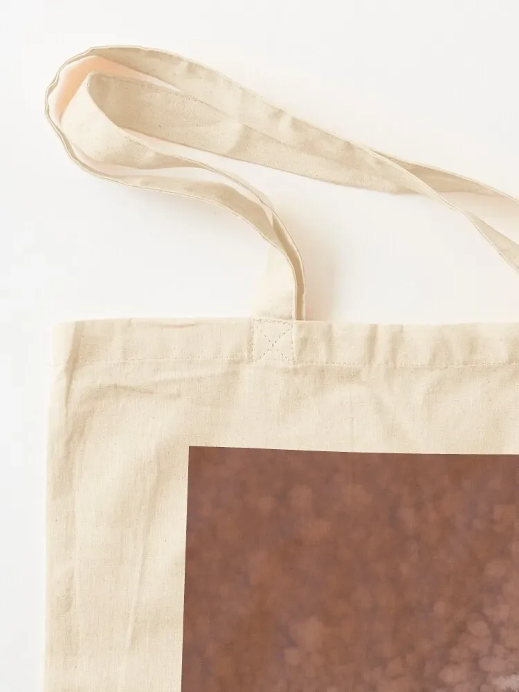 Saline Tote Bag hand bag ladies tote bag screen Cloth Cloth bags