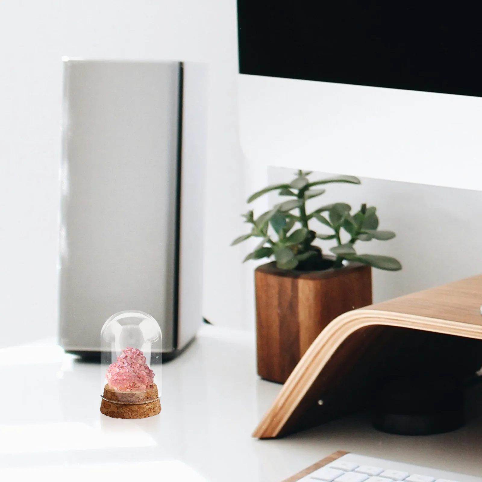 

Набор из 4 стеклянных куполов-витрин для декоративных цветов, подставка-домик для цветов, для дома и офиса, для использования в помещении и на улице