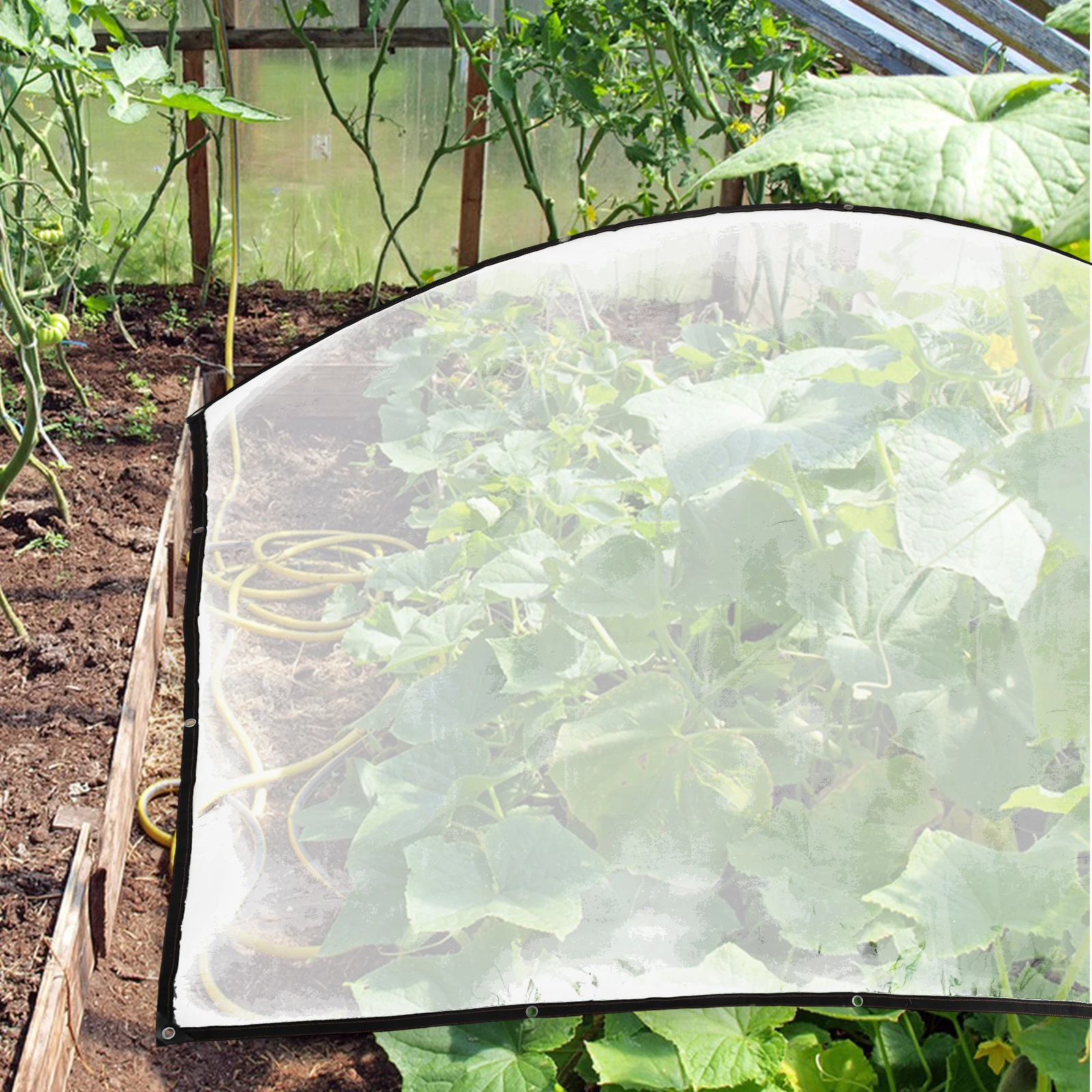 

Thickened Anti-aging Greenhouse Membrane Film Garden Rainproof Antifreeze Plastic Sheeting Clear Agricultural Transparent