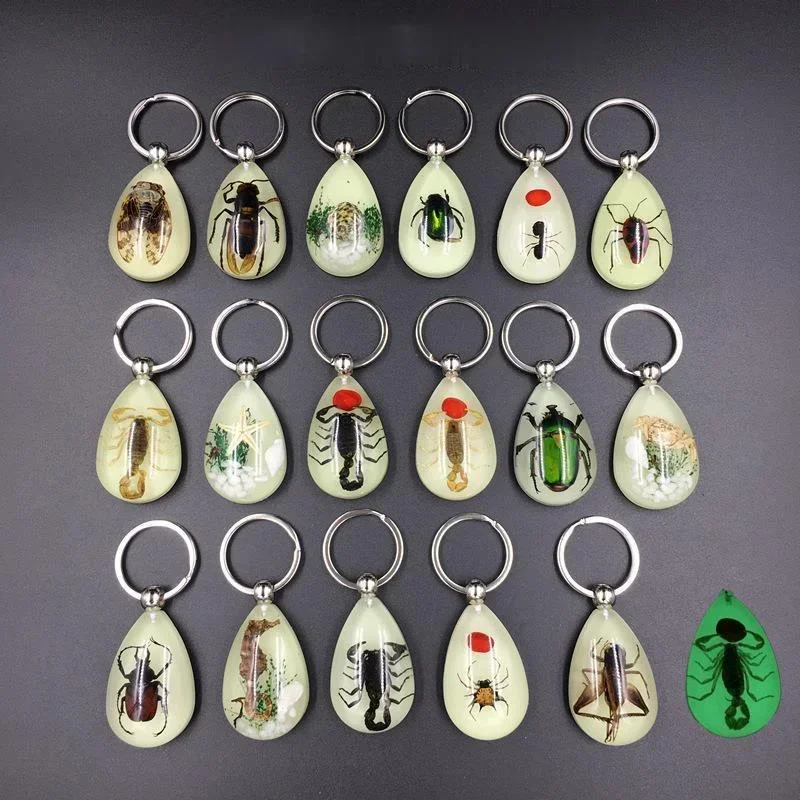 Creative Design 1PC Resin Insect Luminous Key Chain Noctilucent Scorpion Insect Specimen Pendant Tourist Souvenirs Color Random