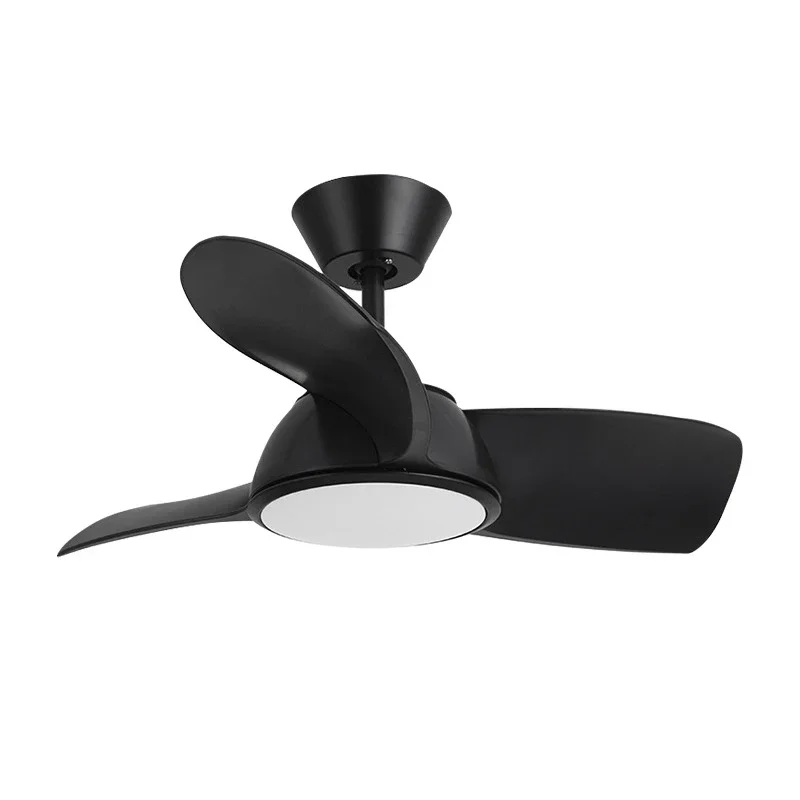 WPD Nordic LED Fan Light Modern Minimalism Restaurant Living Room Study Ceiling Fan Light Remote Electric Fan Light