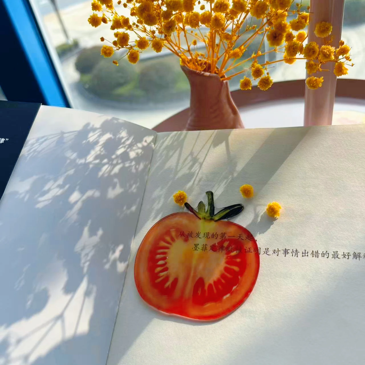 Tomato bookmark acrylic high-end sense transparent cute exquisite student gift reading mark transparent card