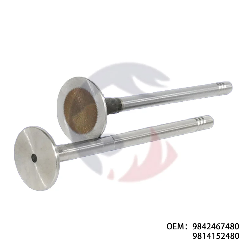 9842467480 9814152480 is suitable for P-eugeot 3008 2008 C-itroen C3 exhaust and intake valves