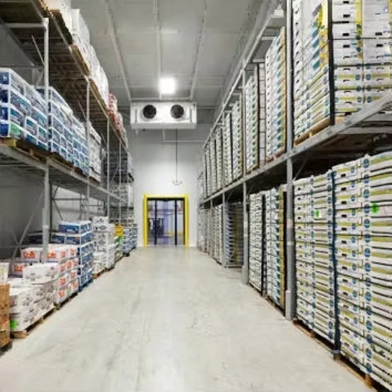 International Standard Large Cold Storage Commercial Refrigeration System with Soundproof Container Motor Gear for Food Storage