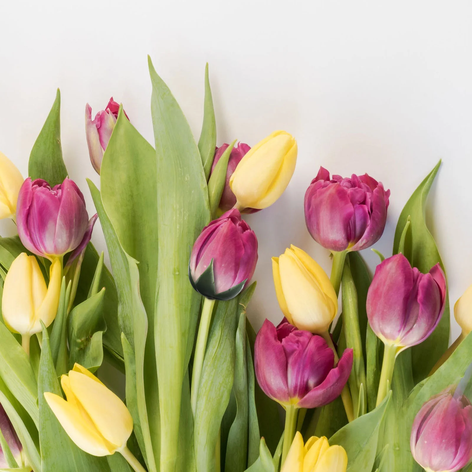 Flower Rose Calyx Receptacle Artificial Roses Fake Calyxes Flowers Plastic Simulated