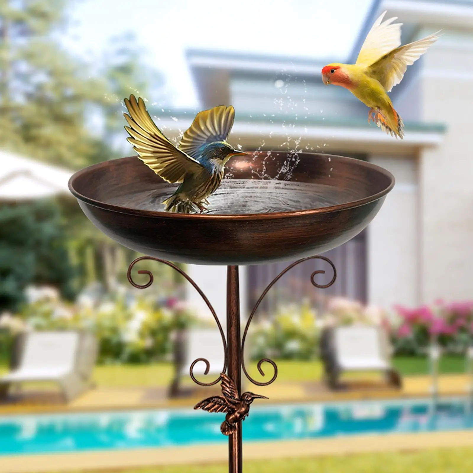 

Bird Bath Bowl Sturdy Iron with Prongs Base Easy to Assemble Detachable Birdbath