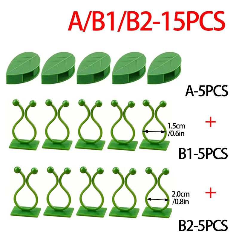 5of each-A B1 B2