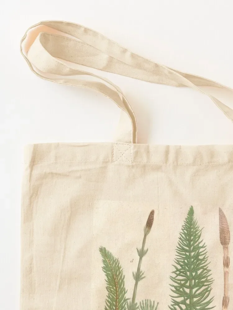 Botanical Horsetails Tote Bag personalized tote bag bag luxury women Women's eco folding