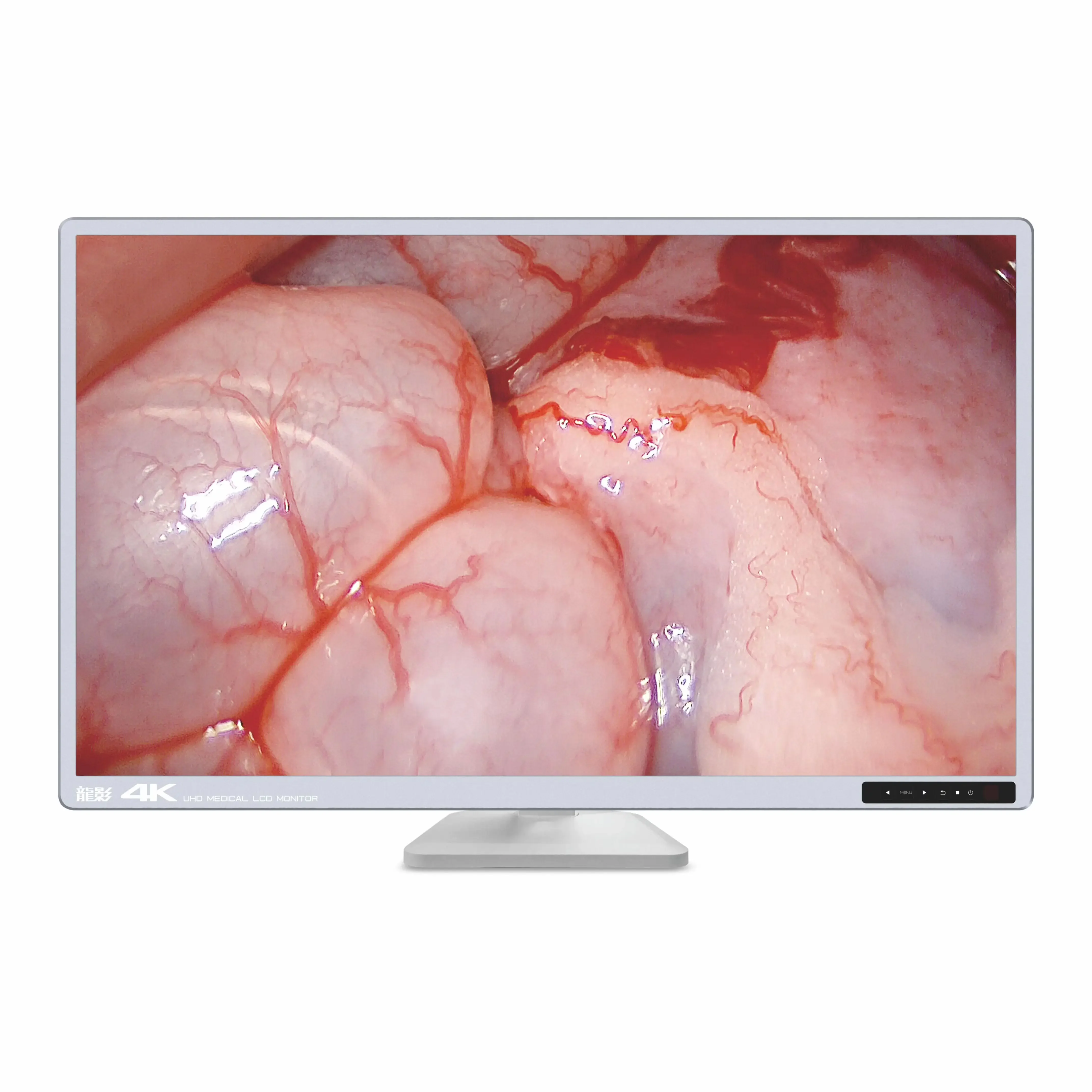 Veterinary instruments full HD endoscope ca-me-ra system configuration 3 in 1 endoscopy machine for animal pet hospital