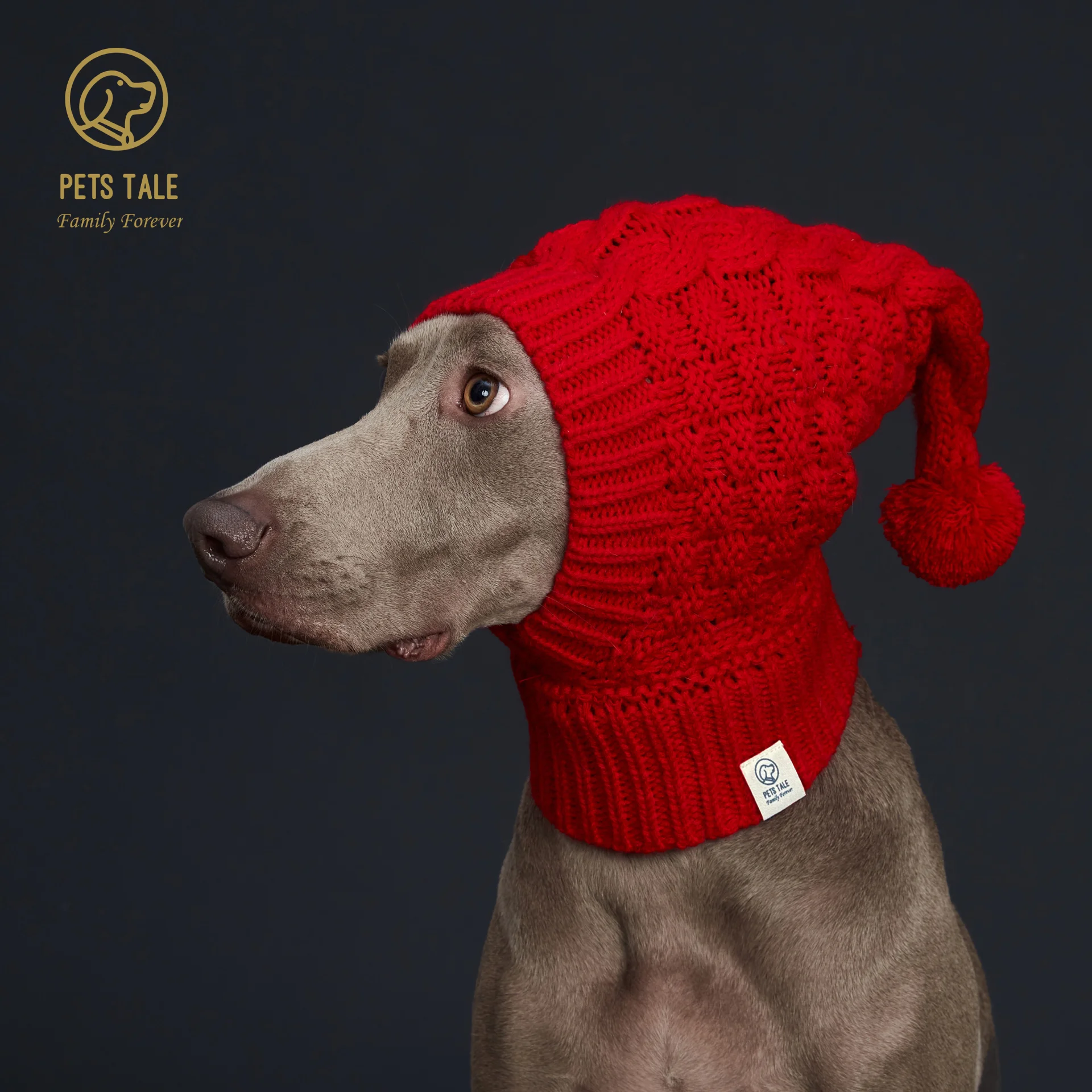 Italian Greyhound & Weimaraner: Cozy Red Knitted Pom-Pom Dog Hat in Waffle Pattern