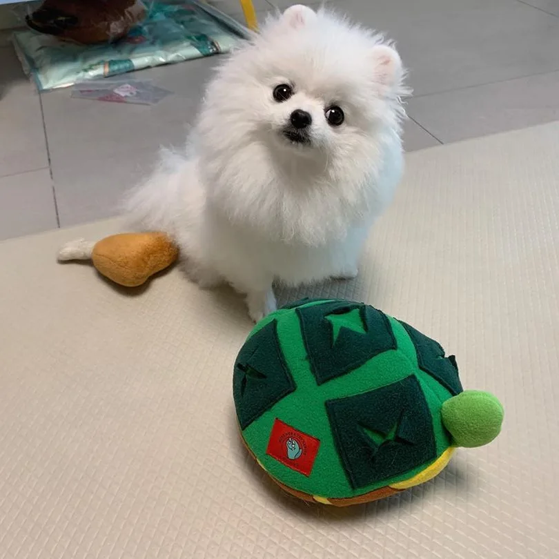 

Turtle Fleece Chewing Toys Durable Pets Toy Interactive For Puppy Cute Dogs Plush Fashion Training Pet Dog Accessories Supplier