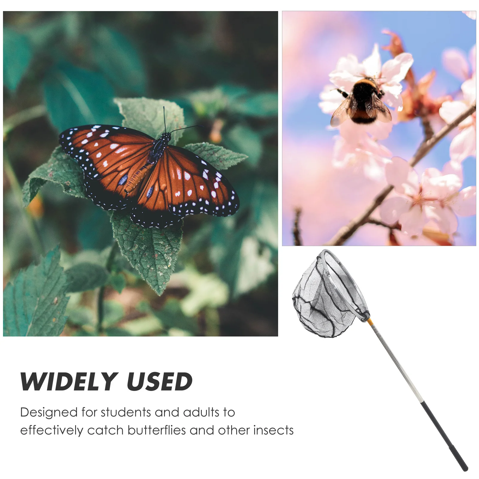 شبكة حشرات تلسكوبية بمقبض من الفولاذ المقاوم للصدأ، إطار متين، تصميم شبكي قوي، صائد الفراشات المحمول، سهل التركيب