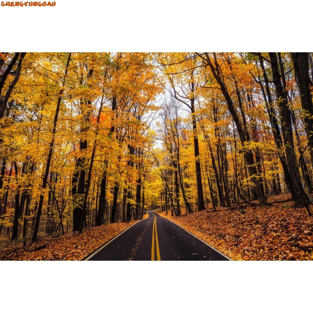 Осенний пейзаж, лиственный фон, лиственные горные дороги, деревья, желтые осенние листья, вид, фон для фотосъемки, реквизит для фотостудии