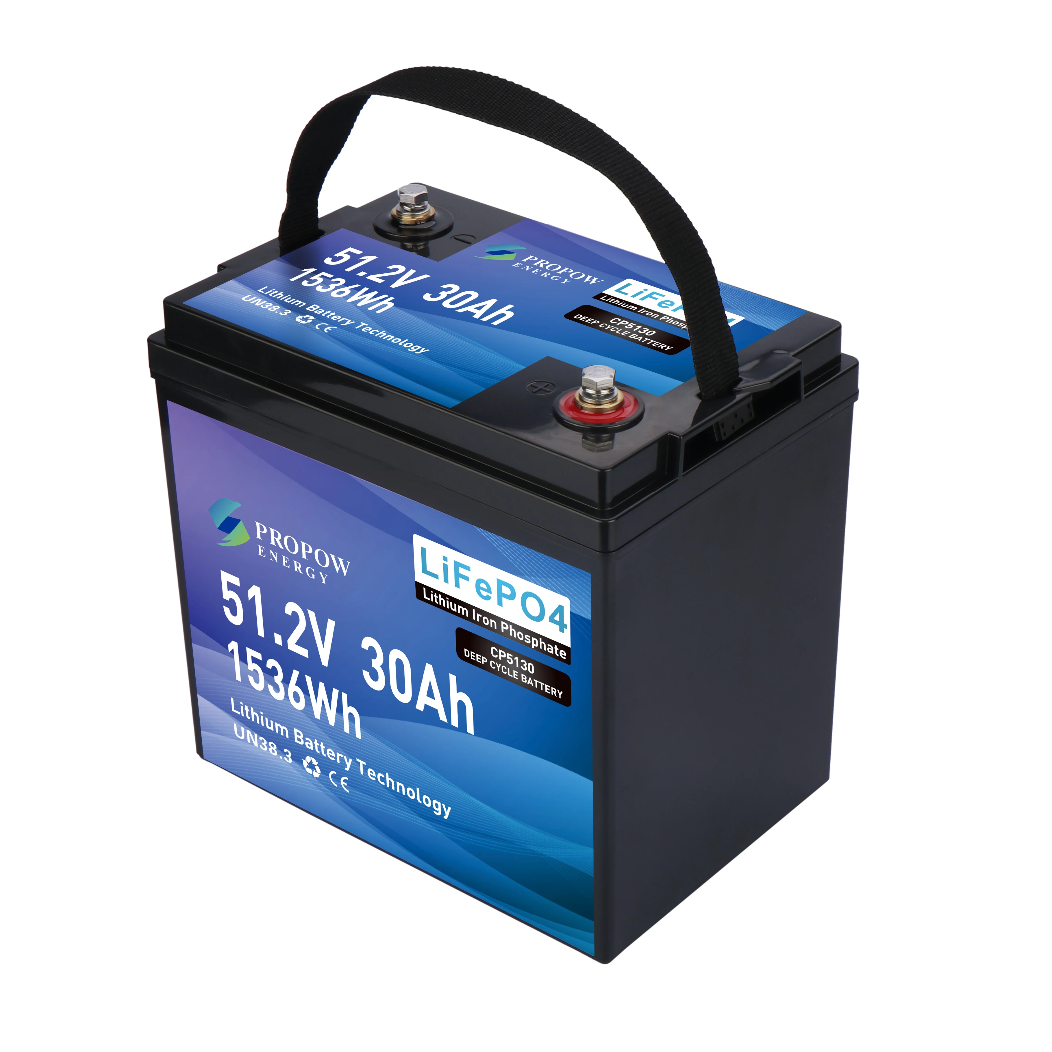 Batterie per tosaerba al litio 202512V 24V 36V 48V Batterie per prato e giardino