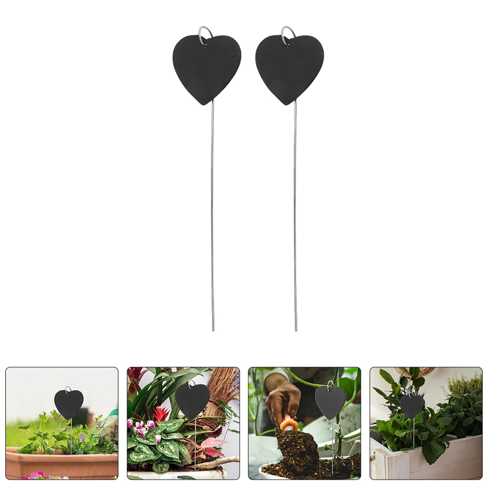 

2 Pcs Plant Label Tag Garden Tags for Plants Labels Sign outside Stakes Outdoor