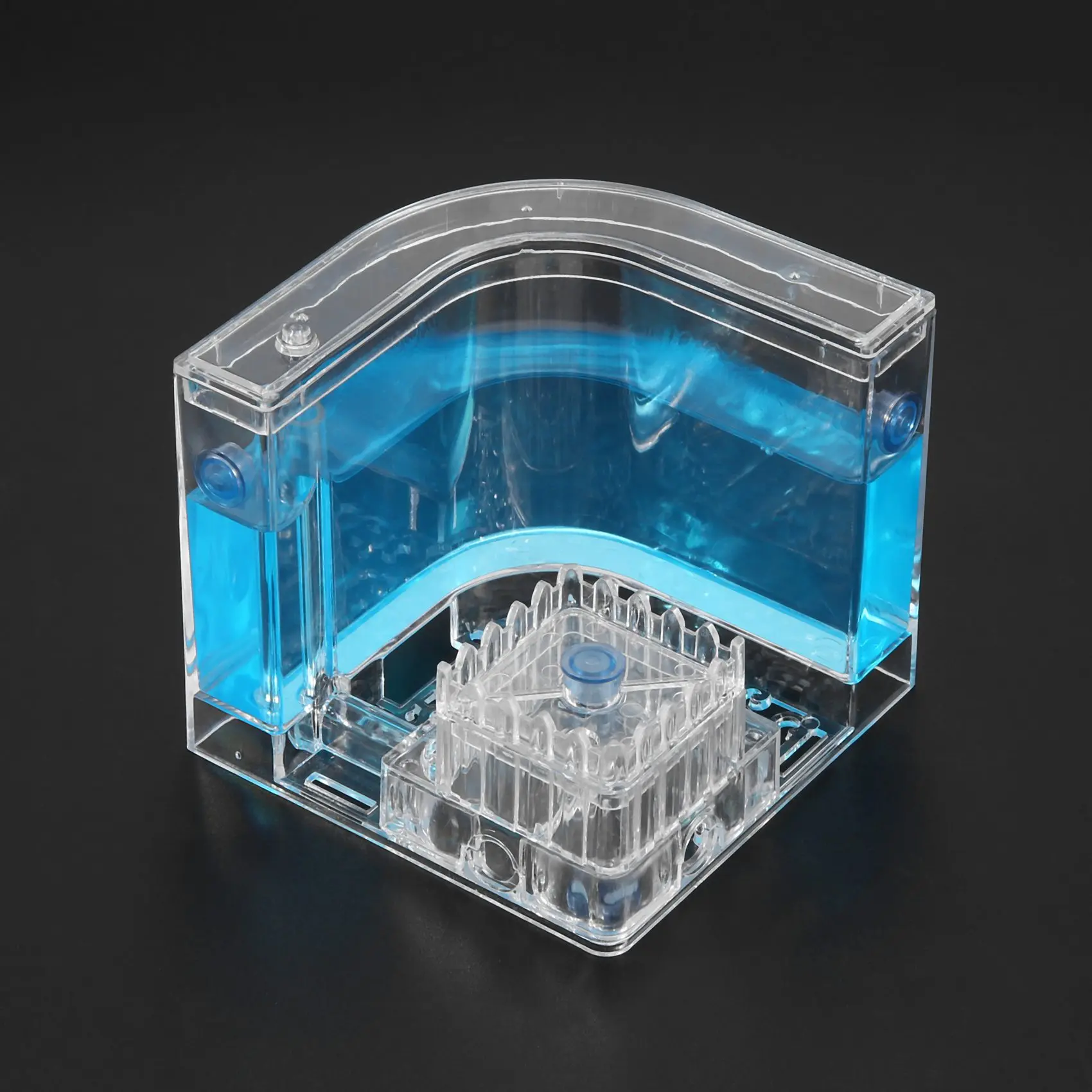 DIY влагоотдача с зоной кормления Муравьиное гнездо муравьиная ферма искусственное животное для искусственной муравьиной мастерской Муравьиное гнездо научное обучение