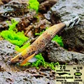 2.0 510 LEOPARD