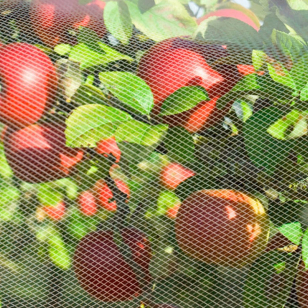

Mesh For Plant Protection Polyethylene Anti Bird Lightweight Durable Outdoor Garden Screen Squirrel Fruit Tree Netting Garden