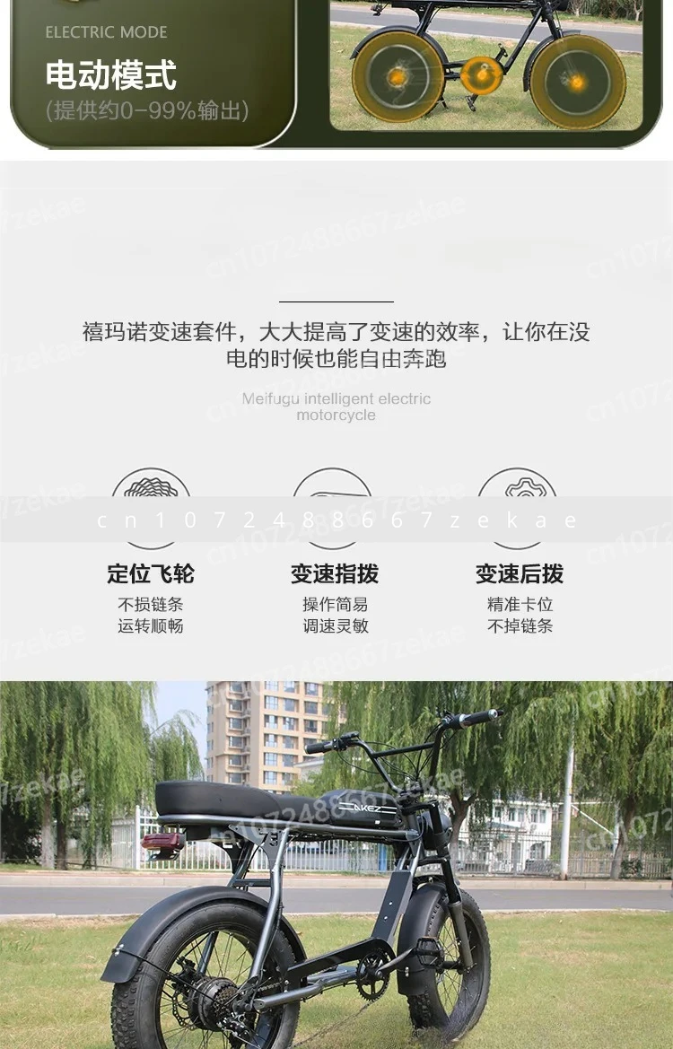 Electric Bicycle 20 Inch Adult Outdoor Bicycle Snow Tire Retro Off Road Beach Variable Speed