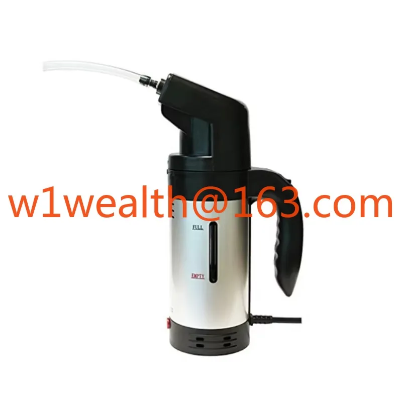 Portable Hair Steamer Handheld Travel Garment Steamer Wig Steamer
