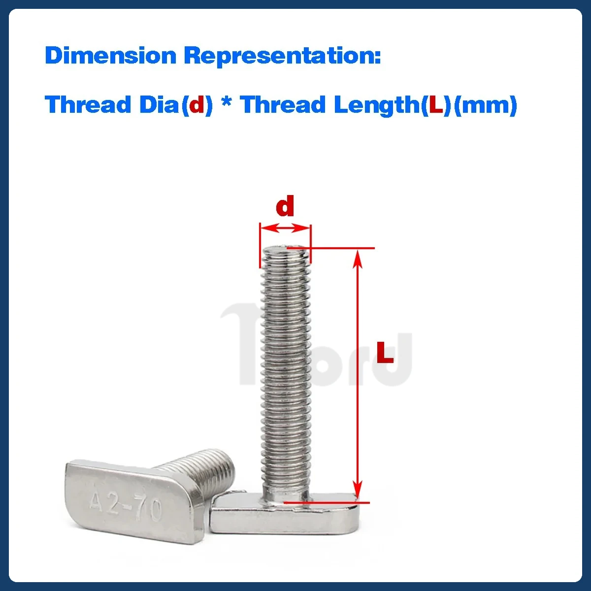 304 Stainless Steel T- Screw / T- Bolt/Square Head Screw / 23 Head Type