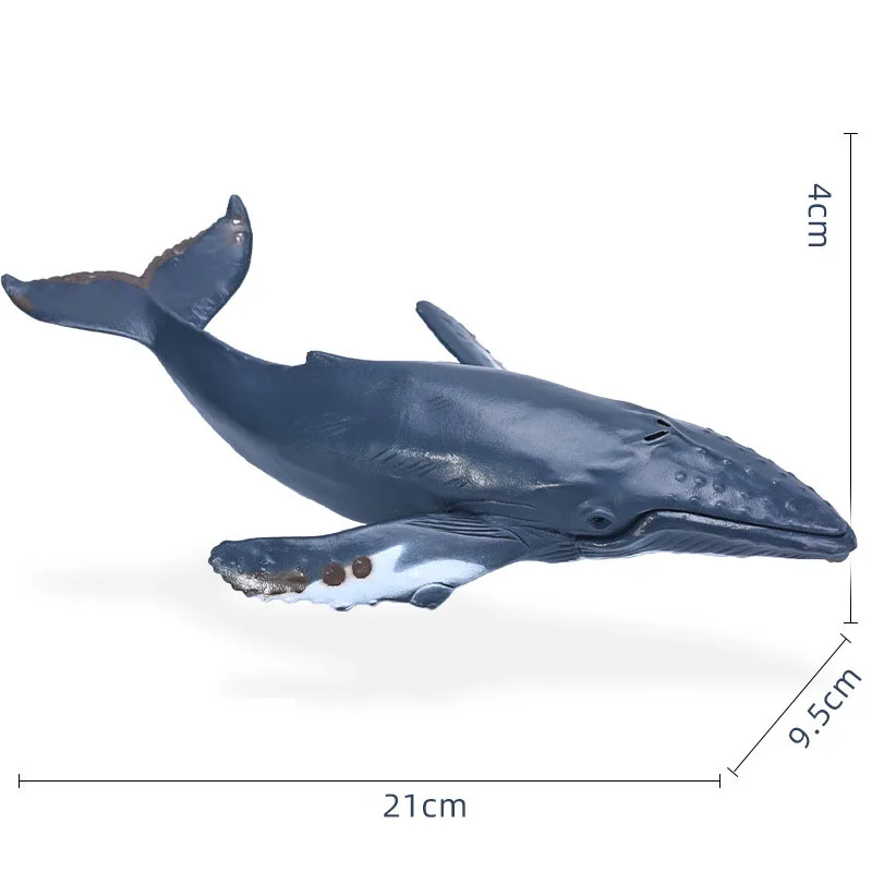 14-22 سنتيمتر المحيط الحيوانات عمل أرقام Sealife القرش Whare Megalodon نماذج التماثيل البلاستيكية ديكور المنزل الاطفال التعليم اللعب هدية