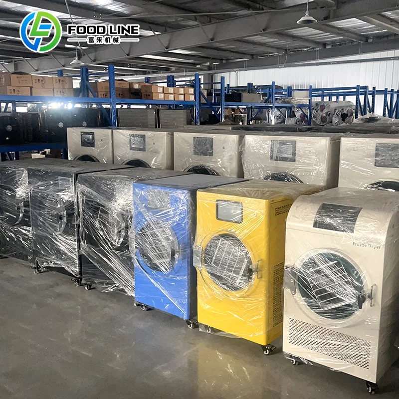 Customize Home Freeze Drying Lyophilization Machine Food Freeze Dryers Dehydration Vacuum Meat Dryer